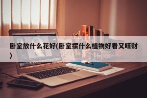 卧室放什么花好(卧室摆什么植物好看又旺财)