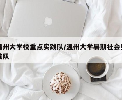 温州大学校重点实践队/温州大学暑期社会实践队