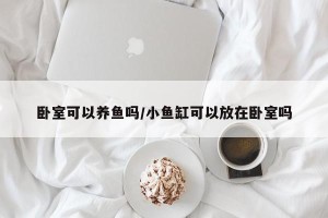 卧室可以养鱼吗/小鱼缸可以放在卧室吗