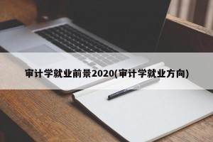 审计学就业前景2020(审计学就业方向)