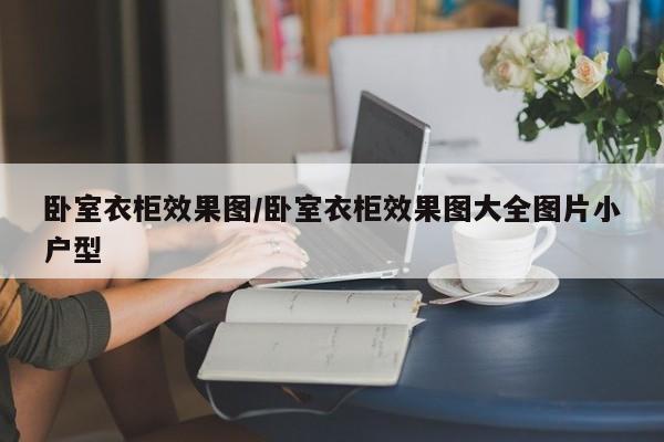 卧室衣柜效果图/卧室衣柜效果图大全图片小户型